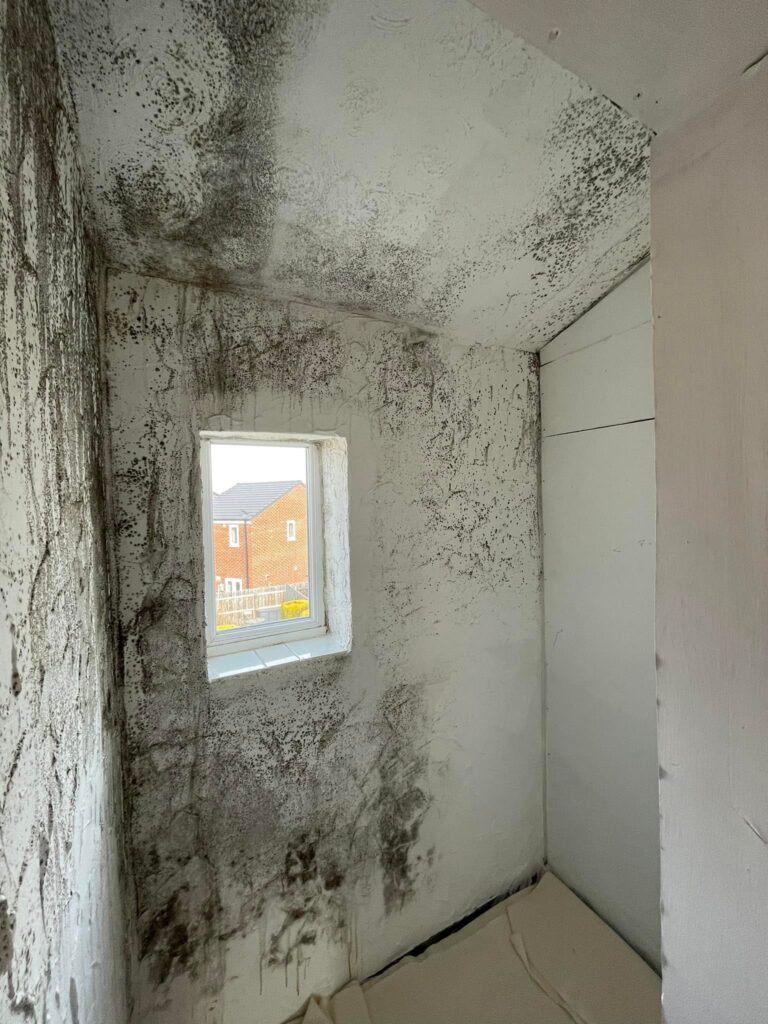 Mould Removal North West Bathroom Extractor Fans