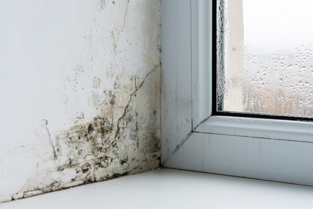 Mould Removal North West Bathroom Extractor Fans
