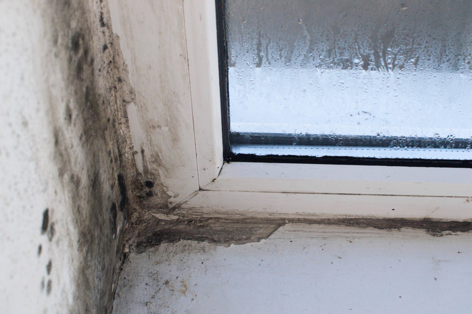 Mould Removal North West Kitchen Extractor Fans