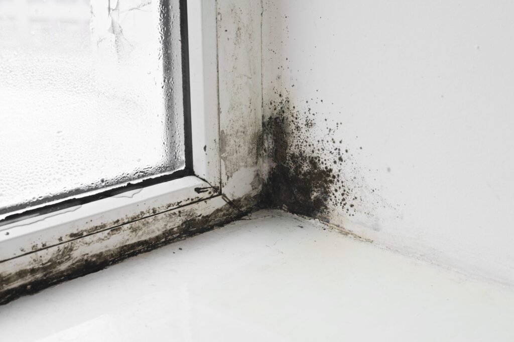Mould Removal North West Kitchen Extractor Fans