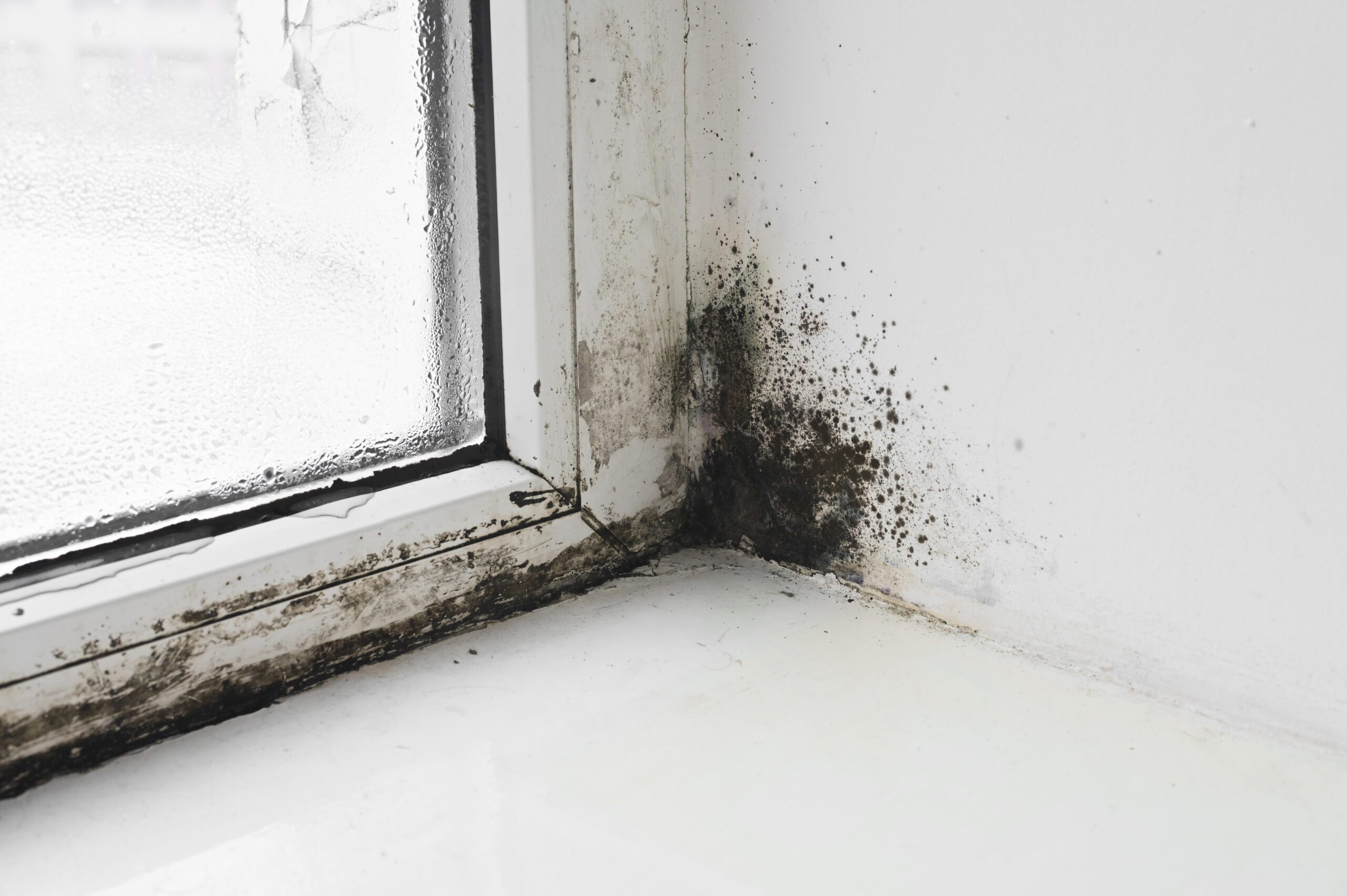 Mould Removal North West Kitchen Extractor Fans
