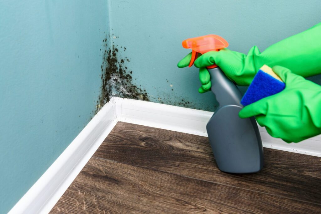 Mould Removal North West Kitchen Extractor Fans