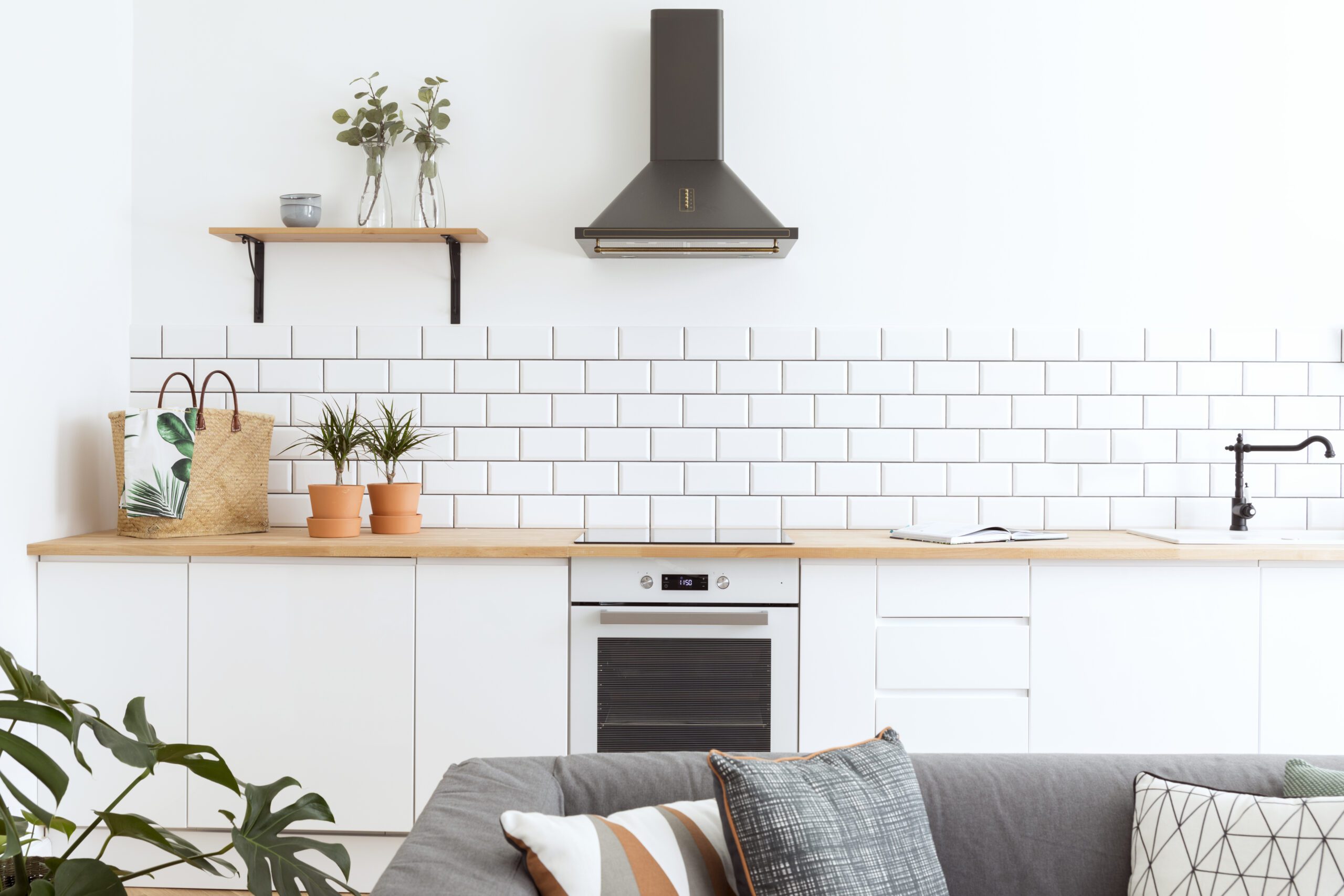 Mould Removal North West Mould Removal