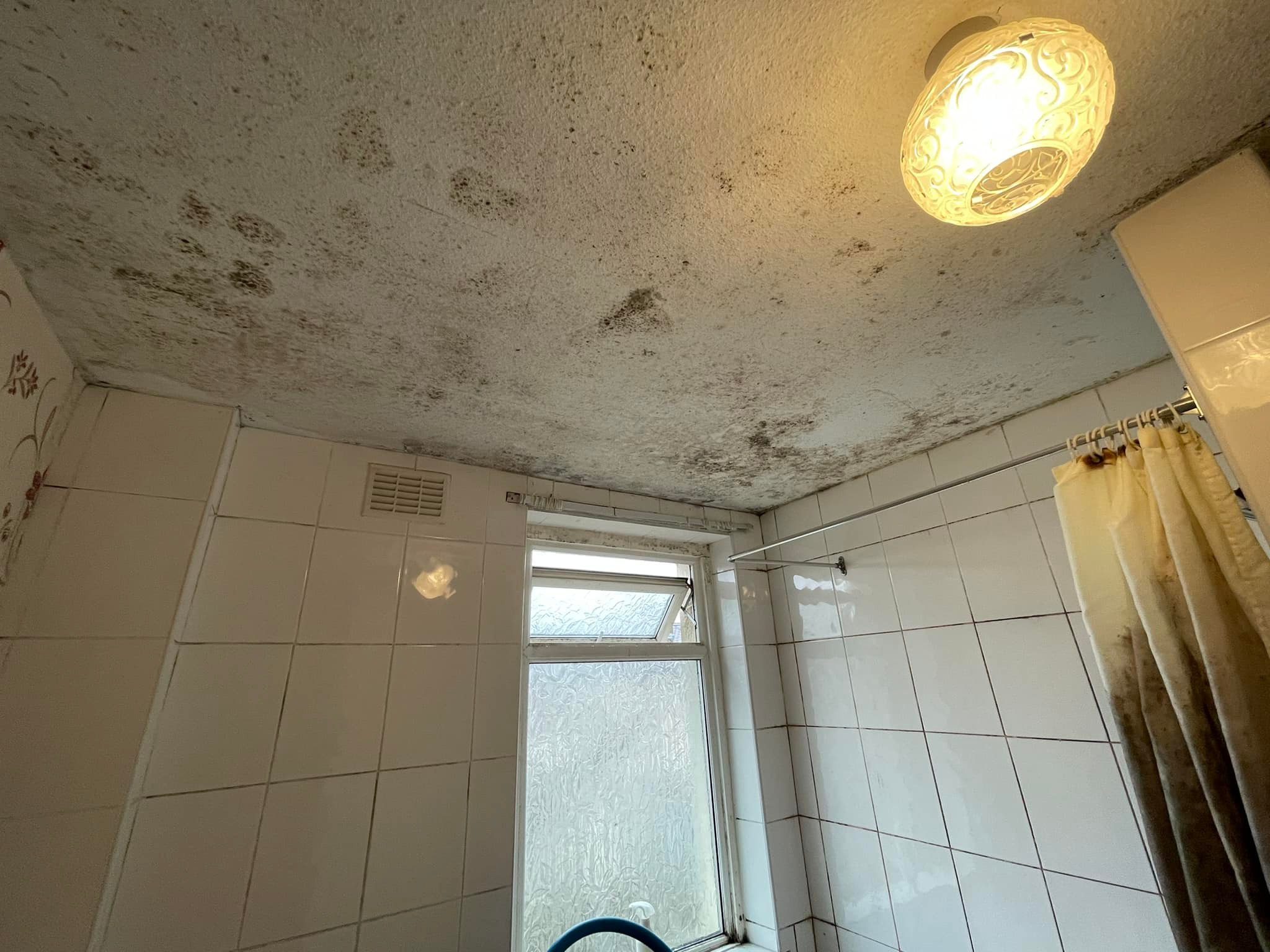 Mould Removal North West Piv Systems