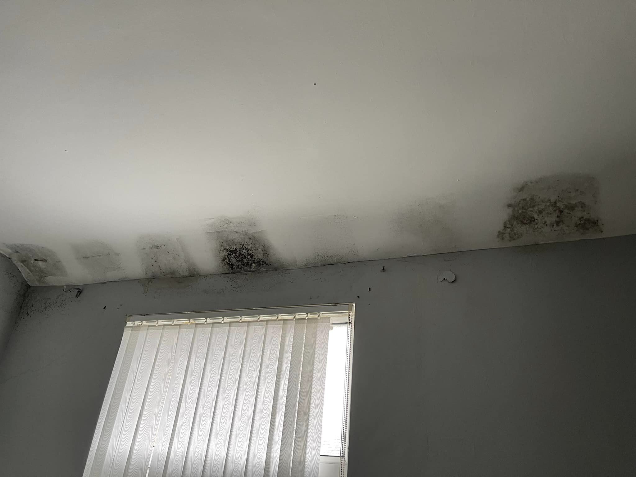 Mould Removal North West Piv Systems