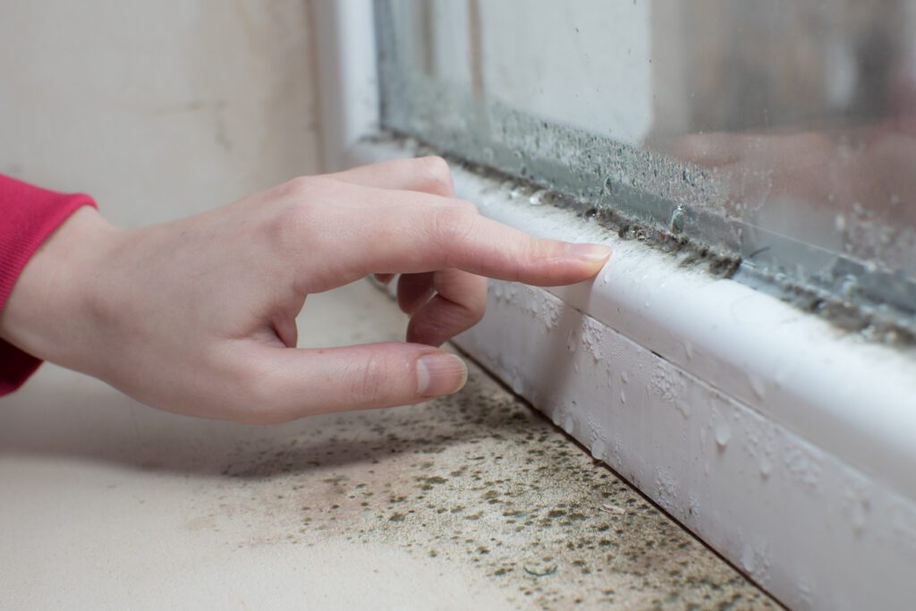 What Causes Black Mould