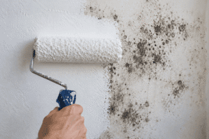 Can You Paint Over Black Mould