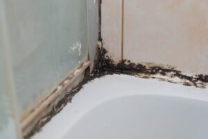Why Does My Shower Sealant Keep Turning Black