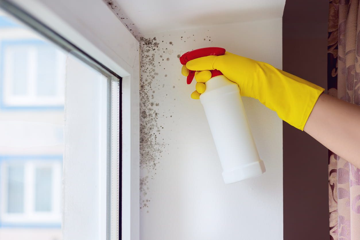 black mould near window how to clean