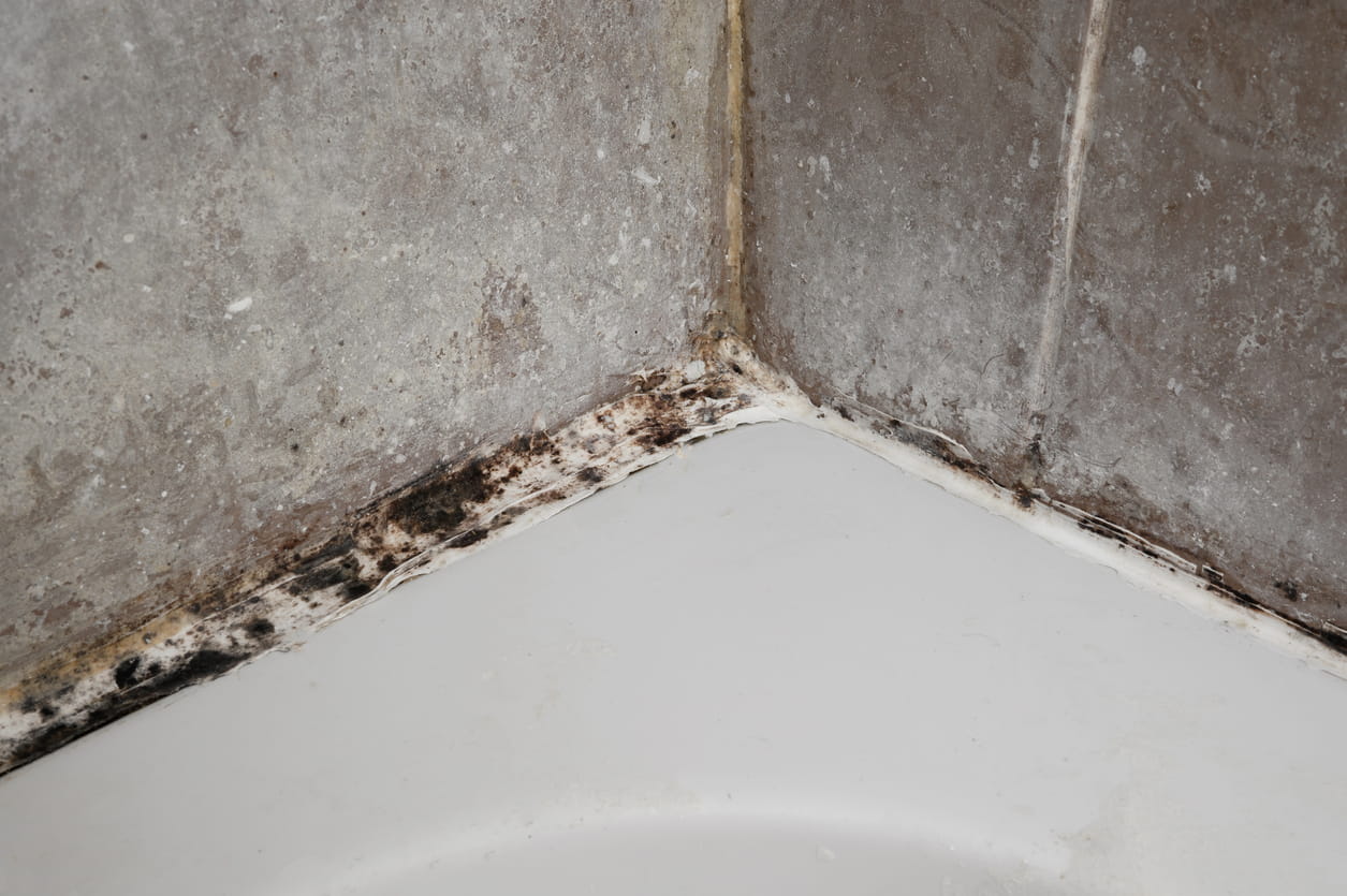 mould spots in bathroom corners