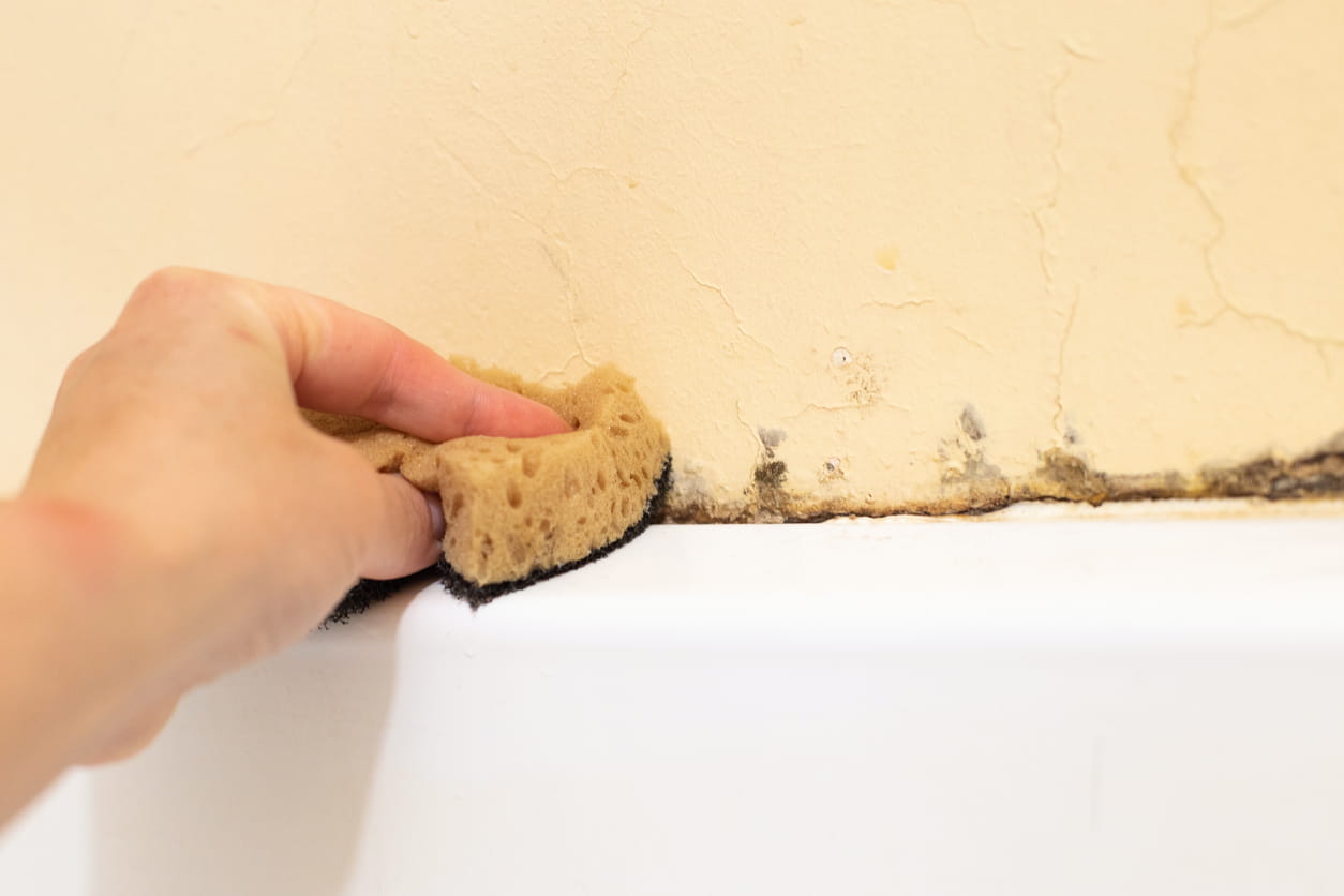 wiping black mould from sealant
